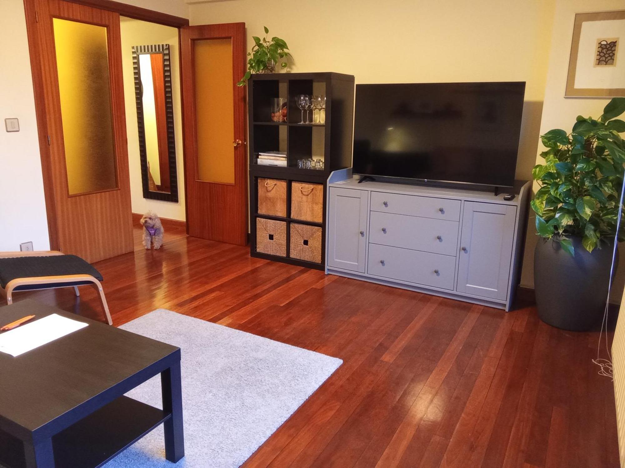 Andramari Tourist Home Parking& Wifi Аморебьета-Эчано Экстерьер фото